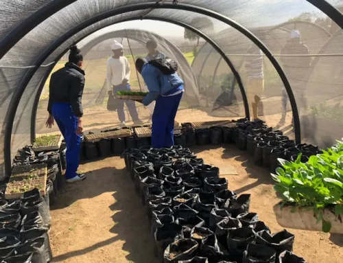 SALSO Leads the World Environment Day Campaign