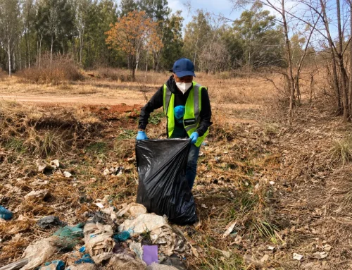 Sankofa Solutions Turns Awareness into Clean Air Action
